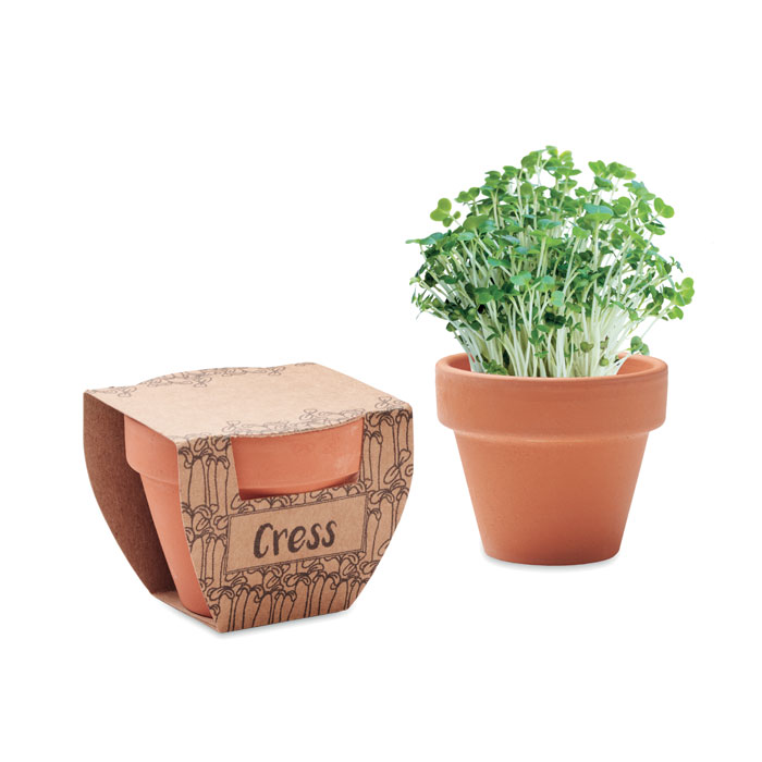 Customized Terracotta Pot Cress Seeds