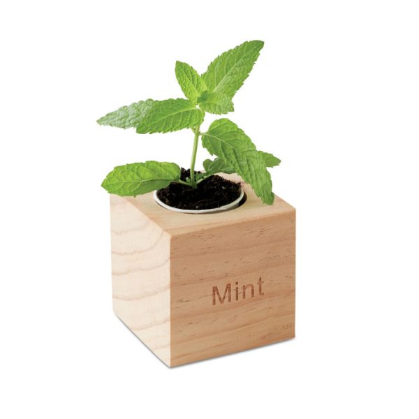 Promotional Mint Herb Pot Wood