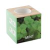 Mint Herb Pot Wood