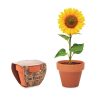 Custom Terracotta Pot Sunflower