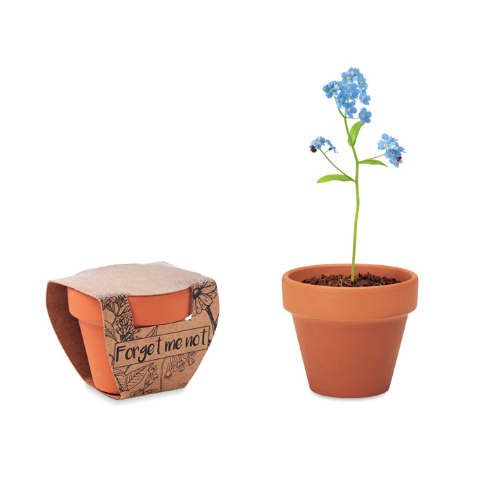 Terracotta Pot for Gift