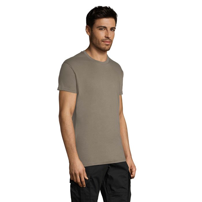 REGENT Z2 customized-REGENT Uni T-Shirt 150g-zinc