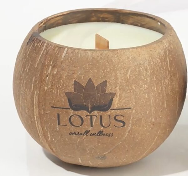 Biodegradable soy candles