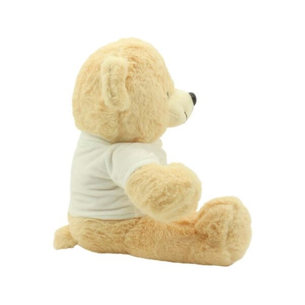 Teddy bear eid al etihad corporate gifts suppliers for uae